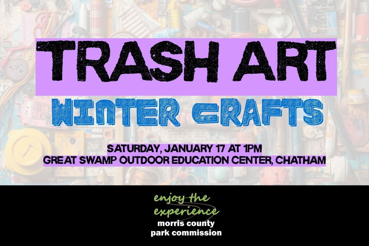 Trash Art Winter Crafts Morris Parks