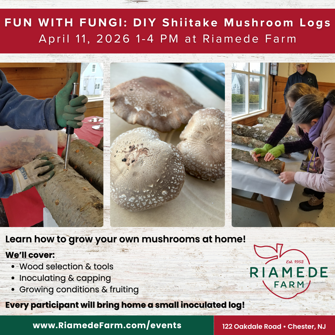 DIY Mushroom Logs