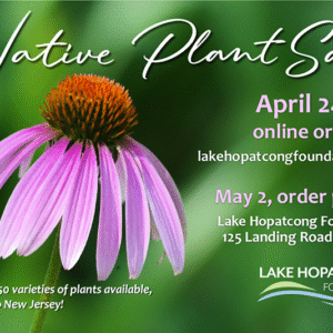 Native Plant Sale