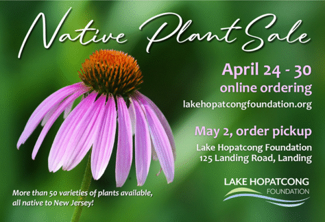 Native Plant Sale