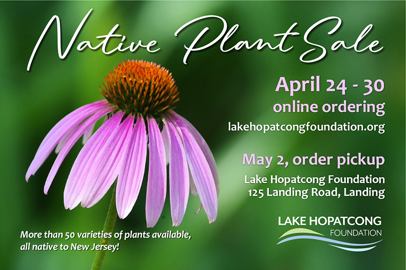 Native Plant Sale