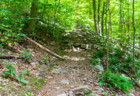 Afternoon Hike with Audrey Costa