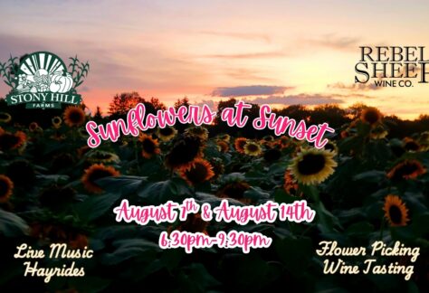 Pick & Sip: Sunset