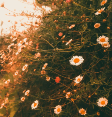 Farm Flow with Farmer Christian