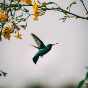 Tai Chi-Chih: Joy Through Movement!