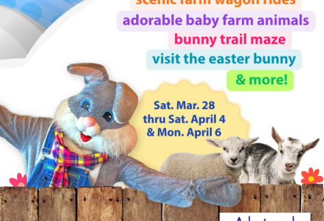 Easter & Springtime Festival at Alstede Farms