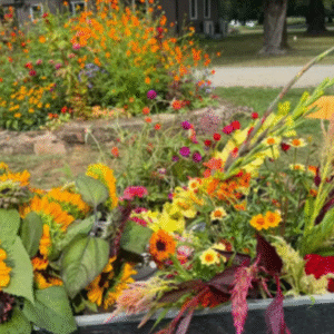 Morning Meditation at Ethos Farm to Health