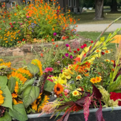 Morning Meditation at Ethos Farm to Health