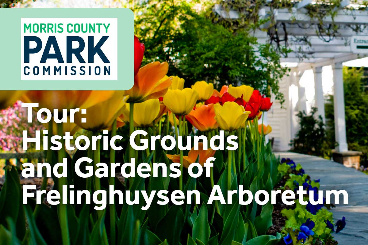 Morris County Parks Commission Tour Historic Grounds and Gardens of Frelinghuysen Arboretum