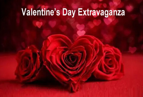Valentine's Day Extravaganza Folk Project