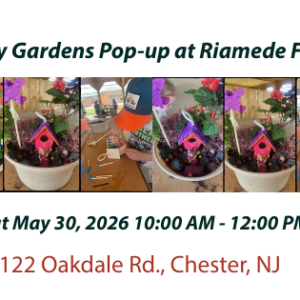 Fairy Gardens Pop-up