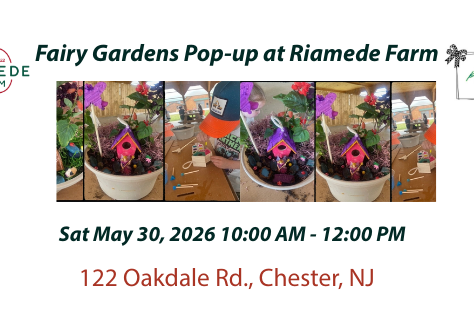 Fairy Gardens Pop-up