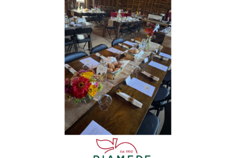 Farm-to-Table Dinner at Riamede Farm