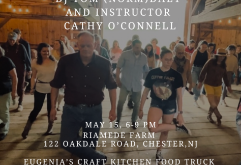 Line Dancing at Riamede Farm