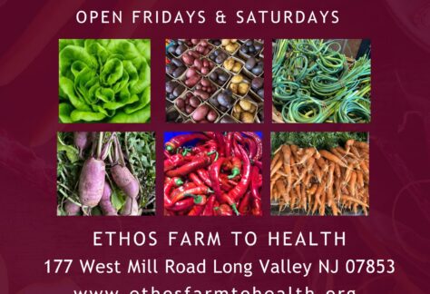 Doctor's Organic Farm Market