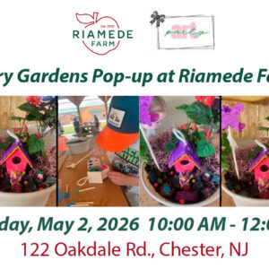 Fairy Gardens Pop-Up at Riamede Farm