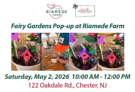 Fairy Gardens Pop-Up at Riamede Farm