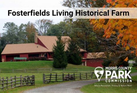 Fosterfields Living Historical Farm