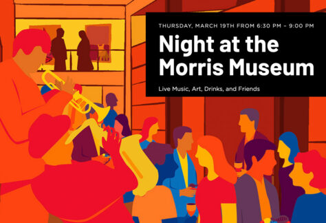 Night at the Morris Museum