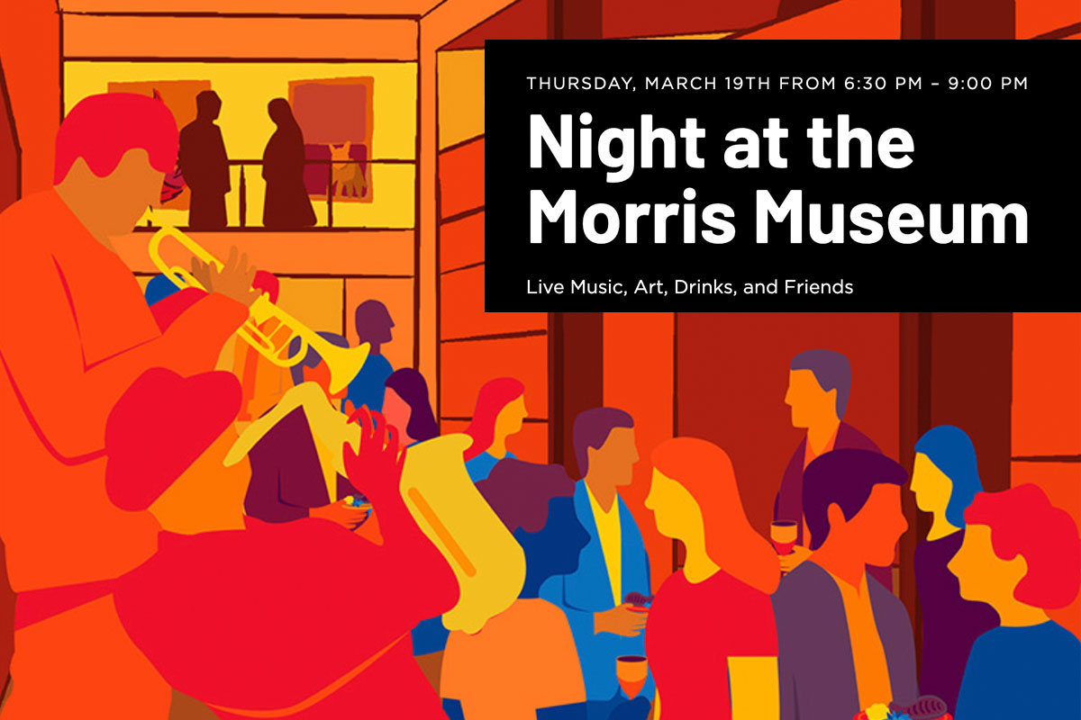 Night at the Morris Museum