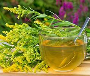 Farm & Garden Tea Social