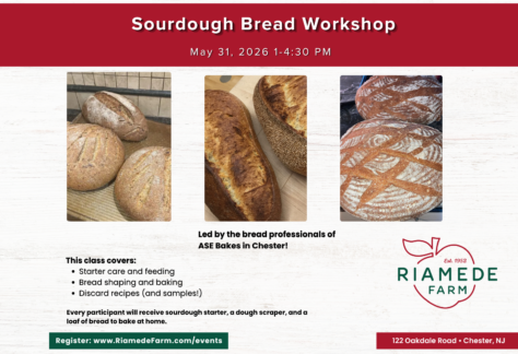 Sourdough Bread Workshop