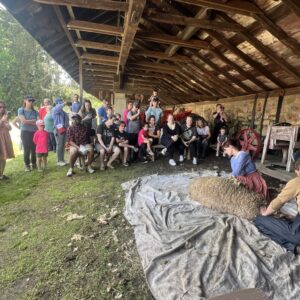 Farm to Fleece: Sheep Shearing and Fiber Arts