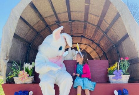 Egg Hunt Weekends @ Ort Farms!