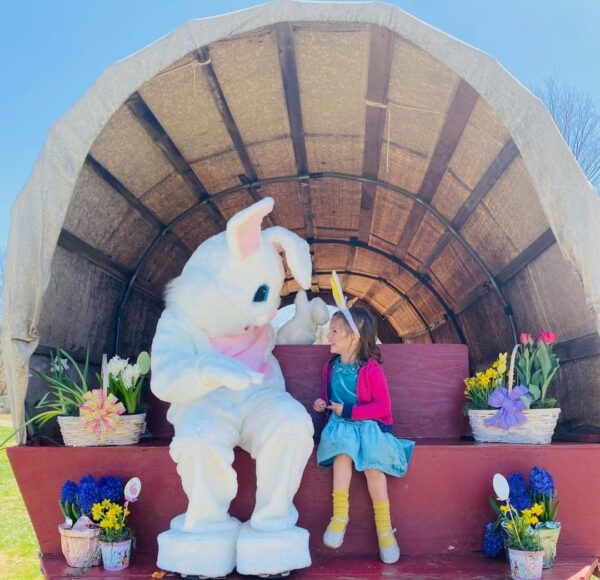 Egg Hunt Weekends @ Ort Farms!
