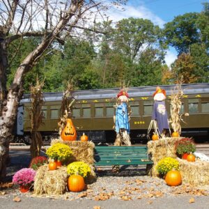 Pumpkin Patch Train
