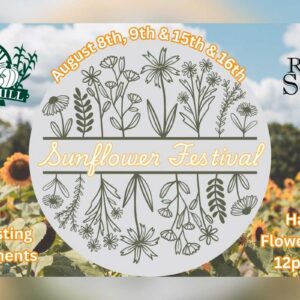 Sunflower Festival