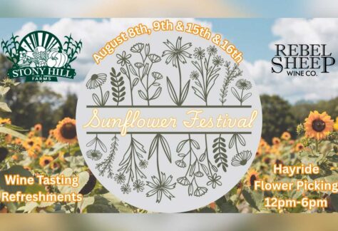 Sunflower Festival