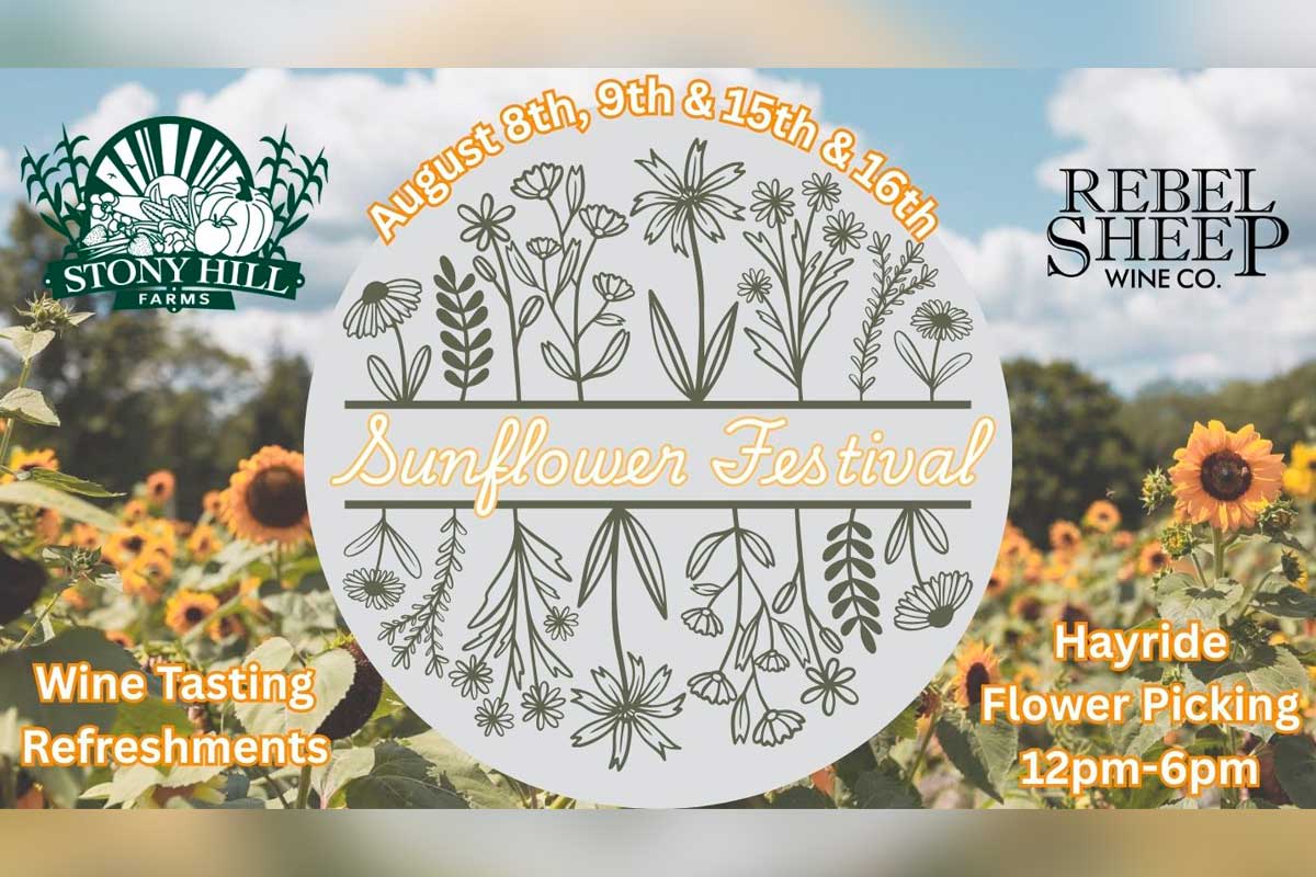 Sunflower Festival