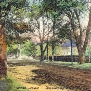 Historic Morris Avenue Walking Tour