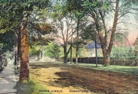 Historic Morris Avenue Walking Tour