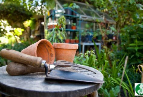 Gardening in the Shade