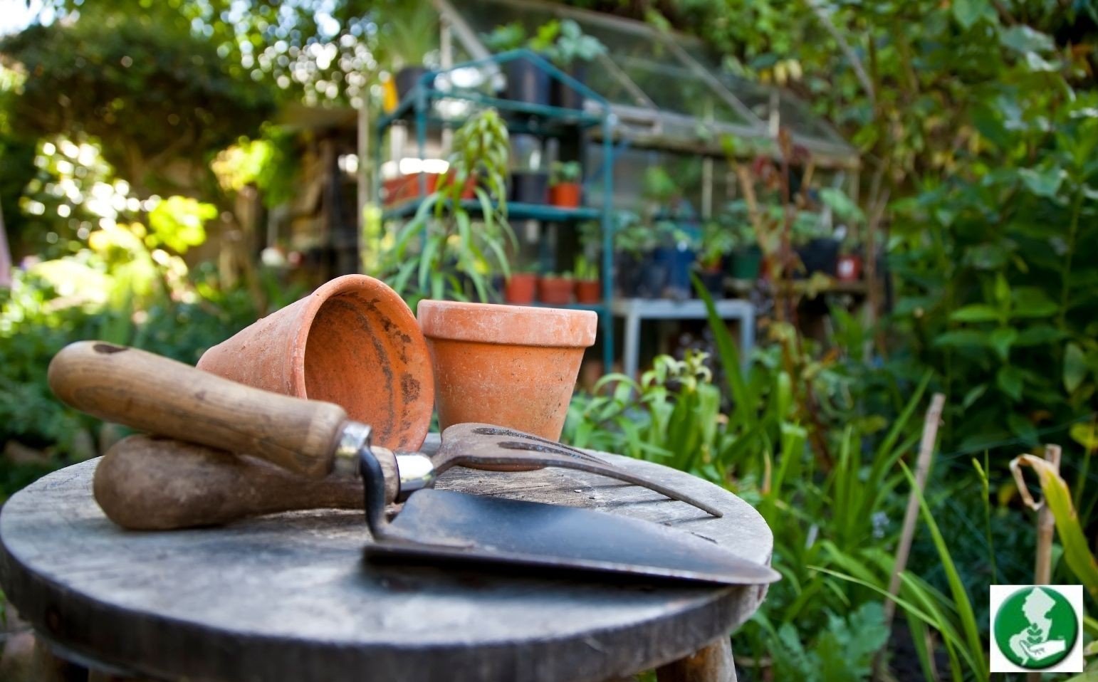 Gardening in the Shade