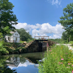 Wharton Canal Day Walking Tour