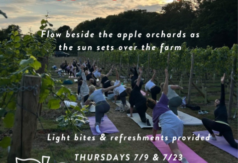 Summer Sunset Yoga Series