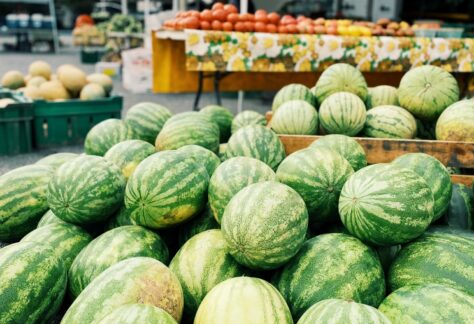 Morristown Farmers Market