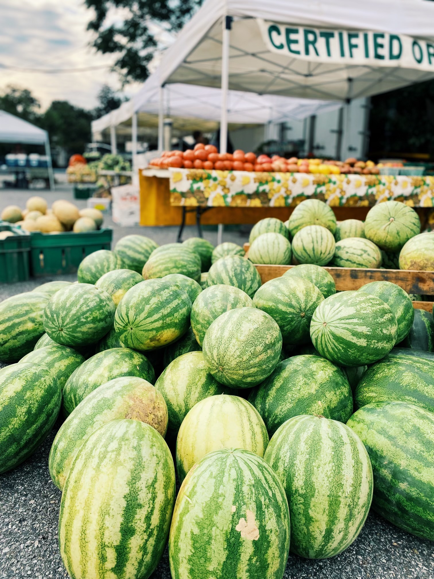 Morristown Farmers Market