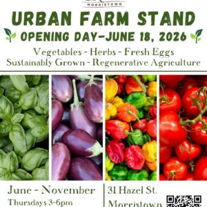 Grow it Green Farm Stand