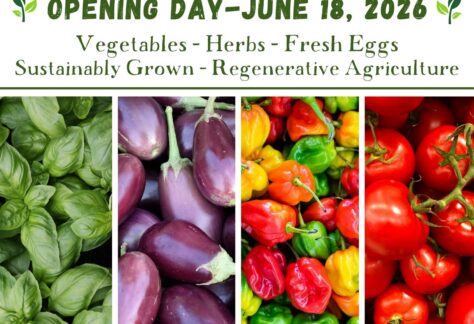 Grow it Green Farm Stand
