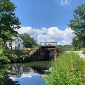 Wharton Canal Day