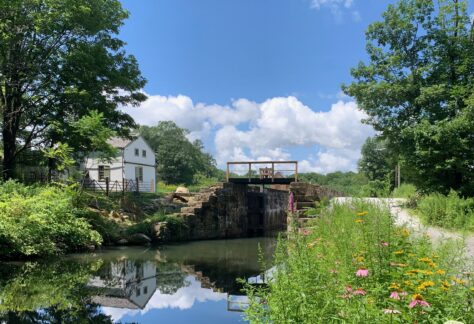 Wharton Canal Day