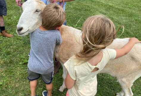 Morris 4-H Fair