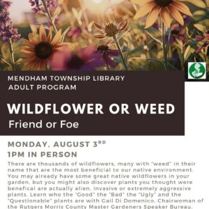 Wildflower or Weed: Friend or Foe