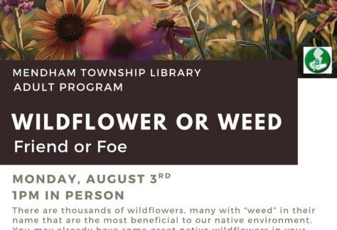 Wildflower or Weed: Friend or Foe