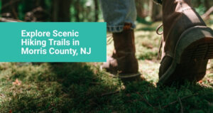 Explore Scenic Hiking Trails in Morris County, NJ