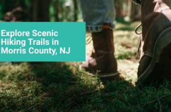 Explore Scenic Hiking Trails in Morris County, NJ